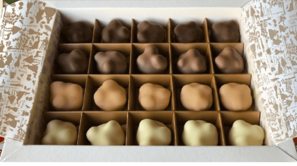 Chocolate Box with 20 Mix Pralines with Whole Hazelnuts