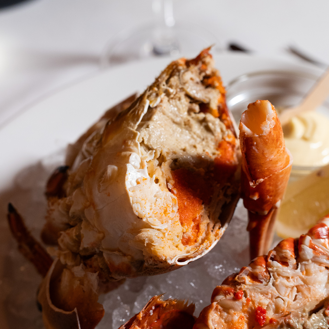 Half Brown Crab - Quai des artistes 