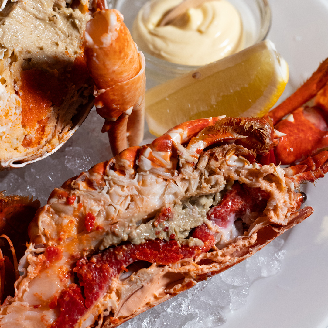 Half Lobster - Quai des artistes 