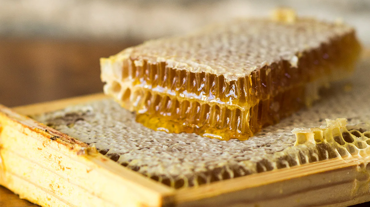 Honey Comb