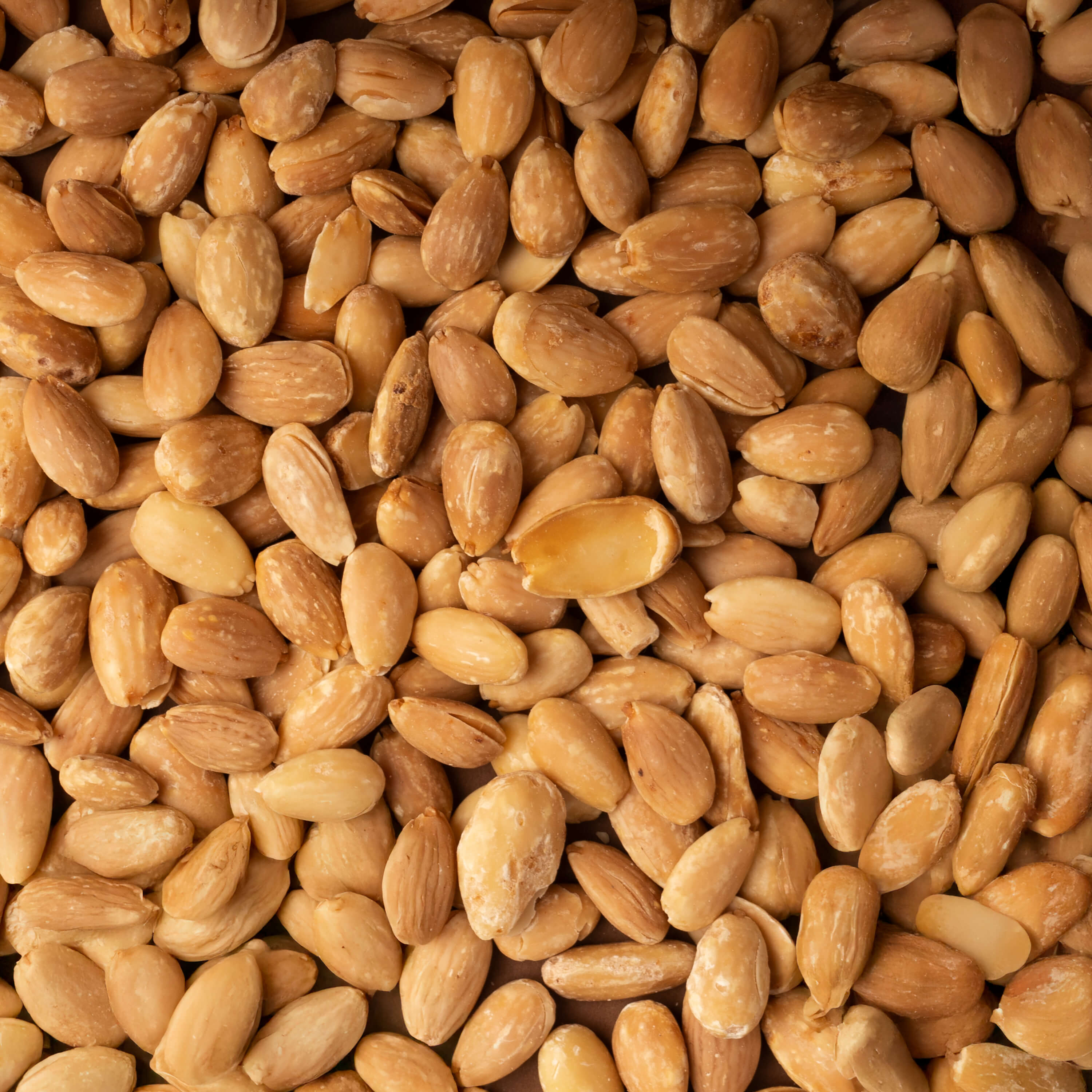 Roasted hazelnuts TGT 250 g - GC - Gelato & Cioccolato | Ice Cream & Sweets Delivery in Monaco, Cap-d'Ail & Beausoleil