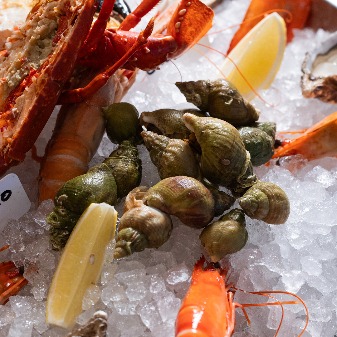 Whelks (250g) - Quai des artistes 